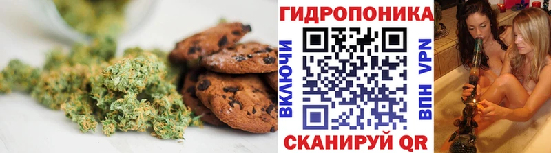 блэк спрут ТОР Грязи Canna-Cookies конопля