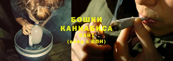 индика Новокубанск