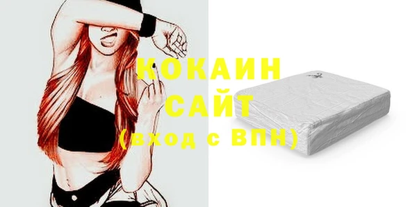 прущие грибы Пересвет