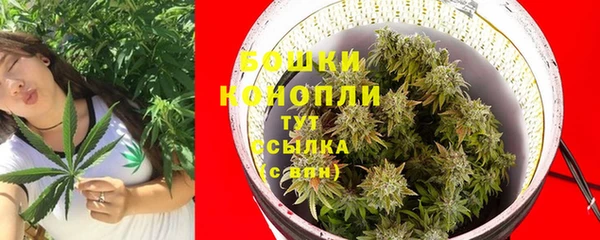бутират Горнозаводск