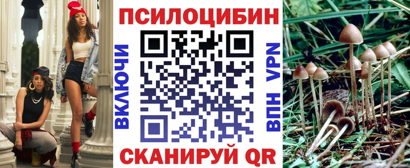 Галлюциногенные грибы Magic Shrooms  Грязи 