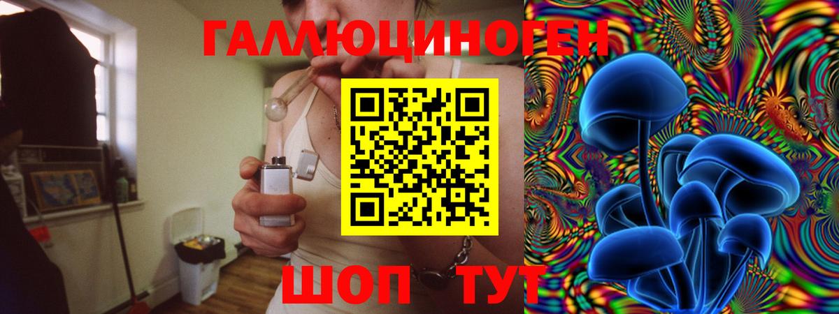 Псилоцибиновые грибы Cubensis  сколько стоит  Грязи  Вход с VPN 