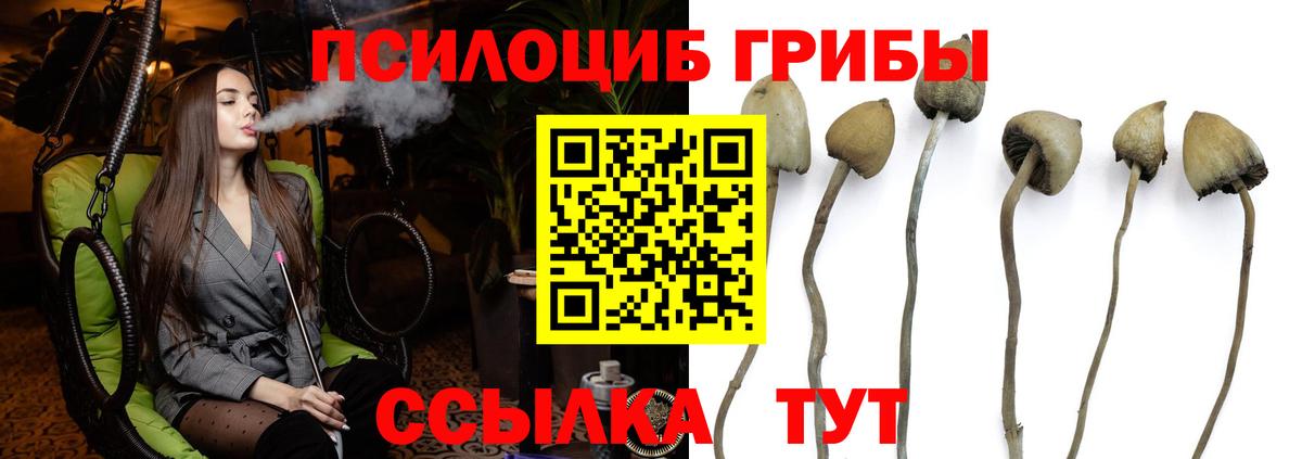 Галлюциногенные грибы GOLDEN TEACHER Грязи